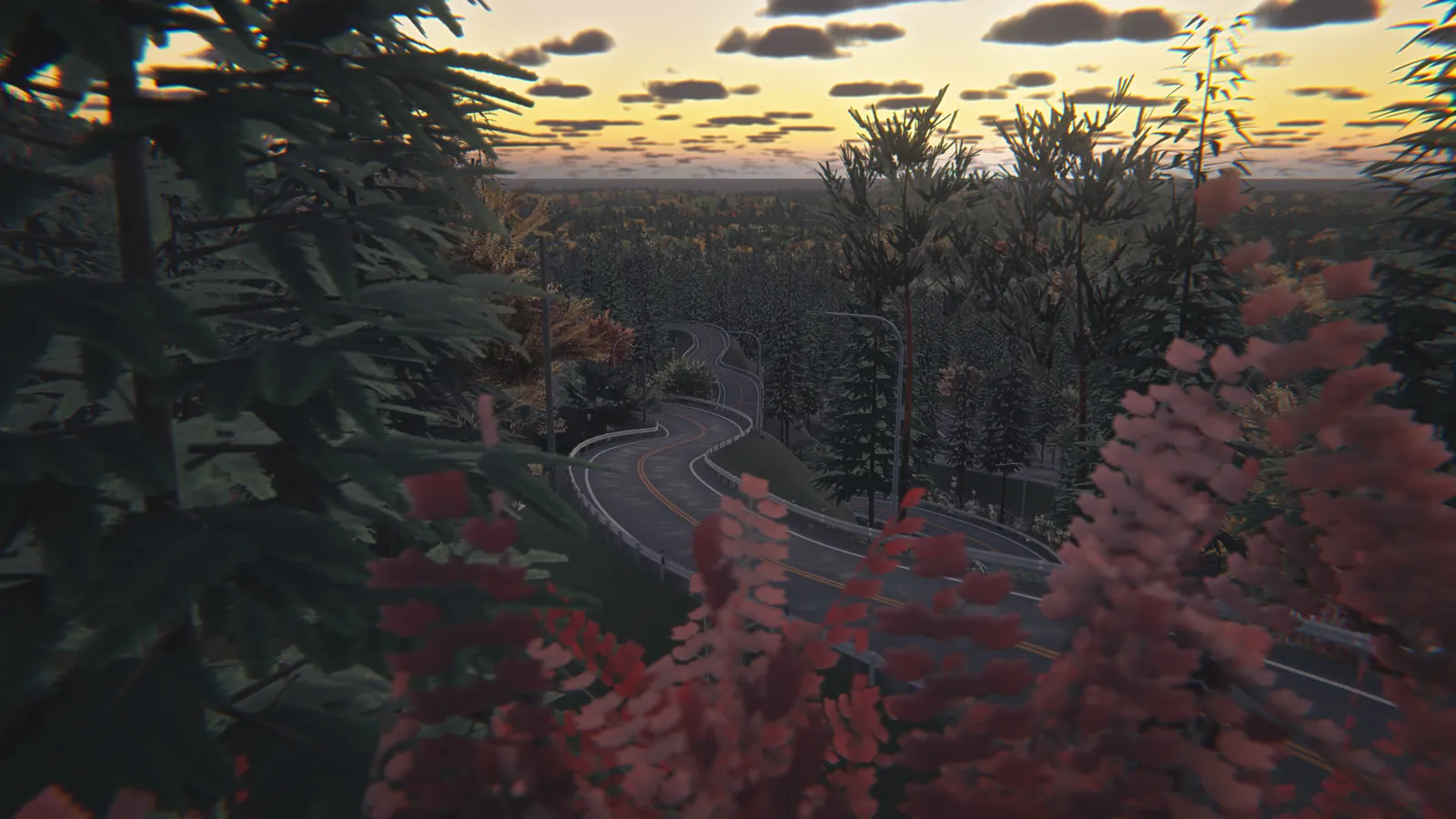 View over the tops of red and green plants towards a winding road and a sunset sky